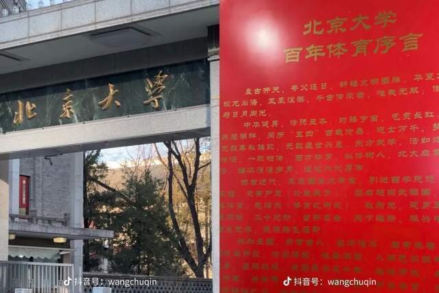 HWsLV, img HWsLV, img